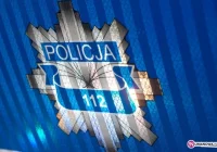 Samochody uderzyły w 100 kg dzika - zdjęcie główne