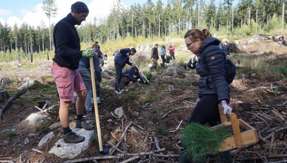 Rusza piąta edycja Festiwalu Wolontaryjnego EY GDS Polska. Pracownicy zasadzą 4000 drzew - zdjęcie 1