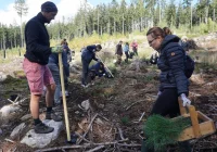 Rusza piąta edycja Festiwalu Wolontaryjnego EY GDS Polska. Pracownicy zasadzą 4000 drzew - zdjęcie główne