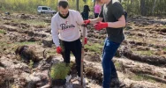 Rusza piąta edycja Festiwalu Wolontaryjnego EY GDS Polska. Pracownicy zasadzą 4000 drzew - zdjęcie 2