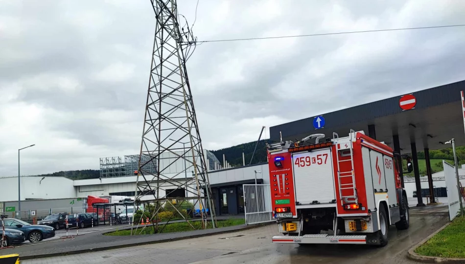 Mikrofalówka powodem interwencji służb - zdjęcie 1