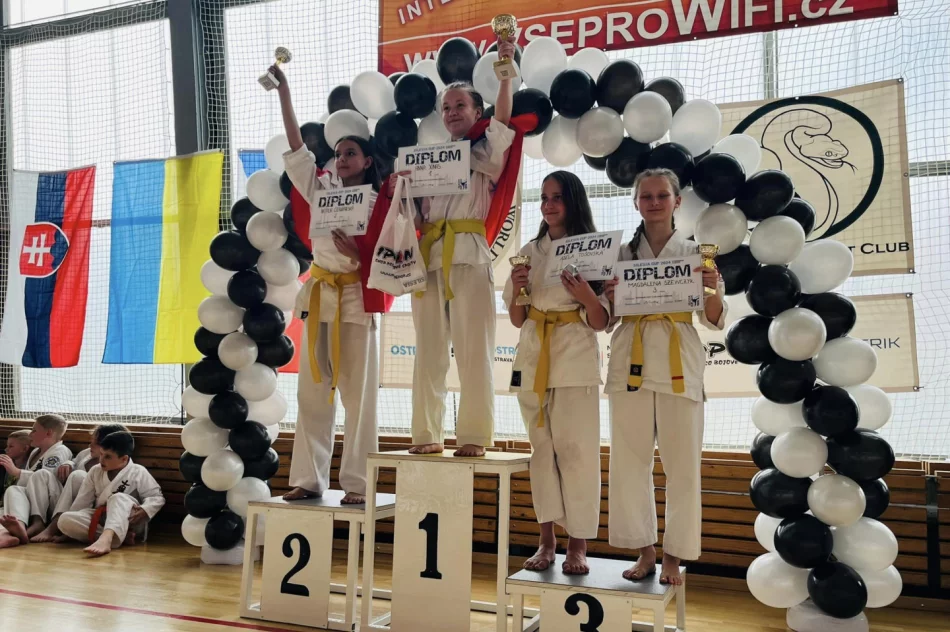 Silesia Cup z sukcesami limanowskich karateków - zdjęcie 8