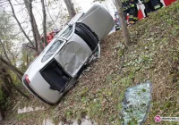 Opel uderzył i ściął drzewa - zdjęcie główne