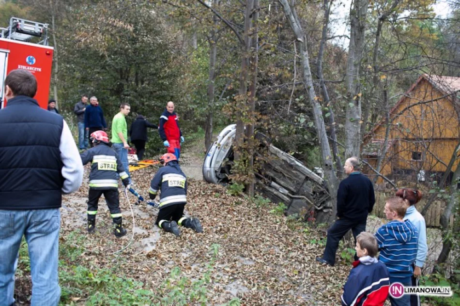Opel uderzył i ściął drzewa - zdjęcie 2