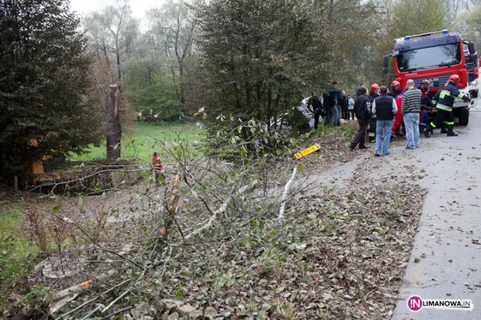 Opel uderzył i ściął drzewa - zdjęcie 3