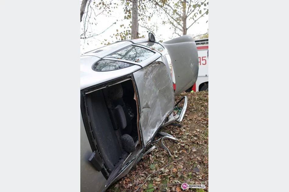 Opel uderzył i ściął drzewa - zdjęcie 4