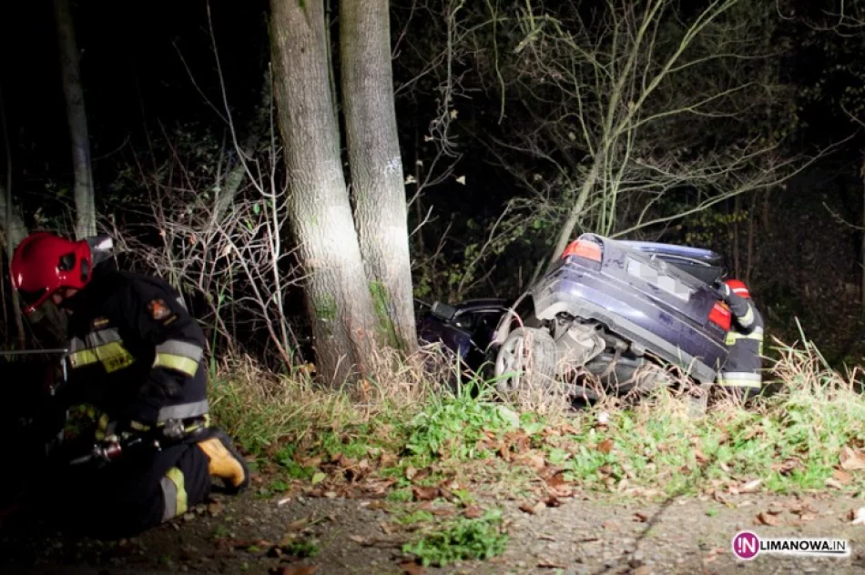 Tragiczne zderzenie z drzewami - zdjęcie 2