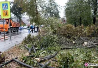 Burmistrz tłumaczy, że nic zrobić nie może - zdjęcie główne