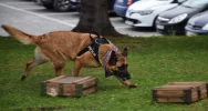 Uczniowie klas mundurowych odwiedzili komendę  - zdjęcie 5