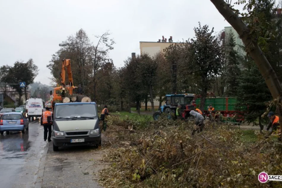 Ludzie przeciwni, wycinka trwa - zdjęcie 2