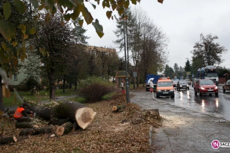 Ludzie przeciwni, wycinka trwa - zdjęcie 3