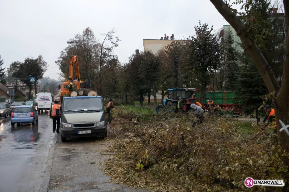 Ludzie przeciwni, wycinka trwa - zdjęcie 2