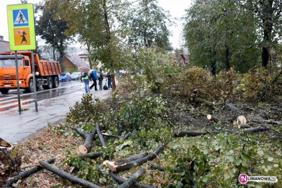 Ludzie przeciwni, wycinka trwa - zdjęcie 3