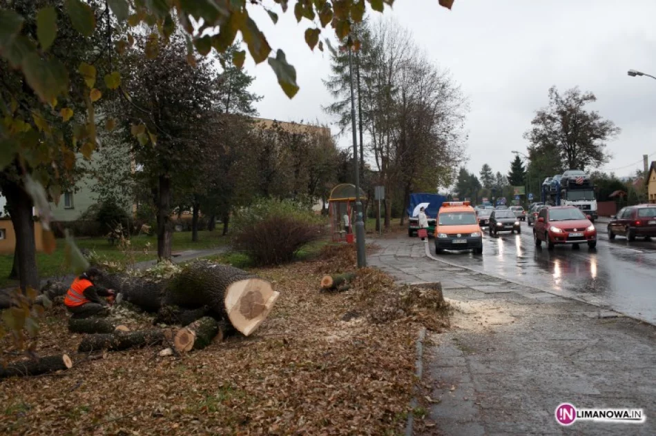 Ludzie przeciwni, wycinka trwa - zdjęcie 4
