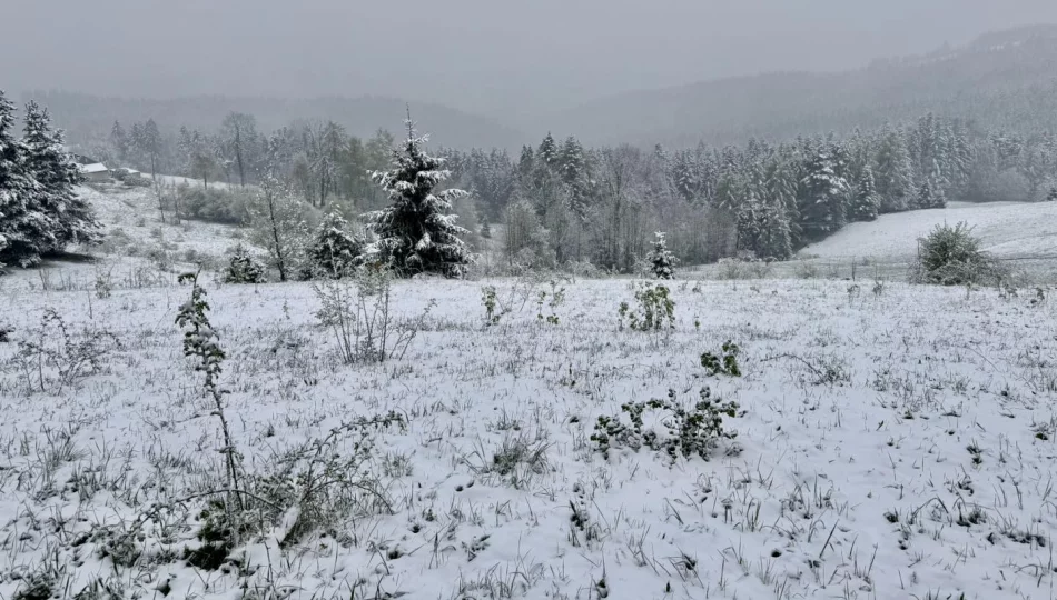 Synoptyczna prognoza pogody na kolejny tydzień - zdjęcie 1