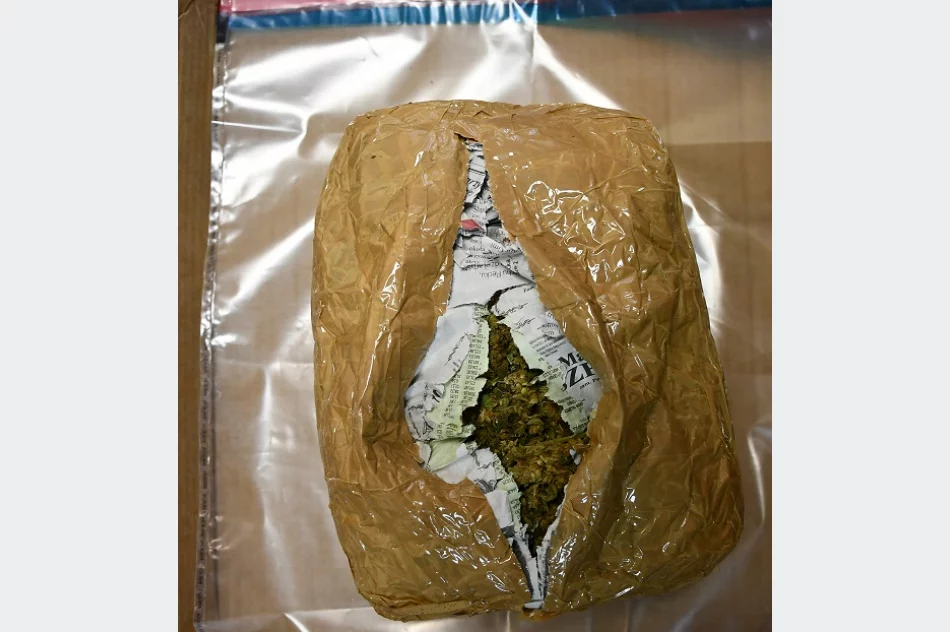 Do plantacji konopii wchodziło się przez… szafę - zdjęcie 2