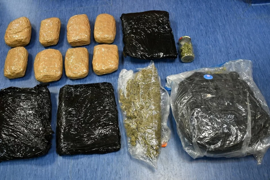 Do plantacji konopii wchodziło się przez… szafę - zdjęcie 3