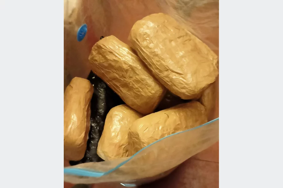 Do plantacji konopii wchodziło się przez… szafę - zdjęcie 4