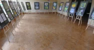 ,,Dzikie pszczoły” w Gminnej Bibliotece w Pisarzowej - zdjęcie 2