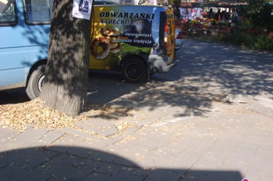 Przejście tym chodnikiem zagraża zdrowiu - zdjęcie 3