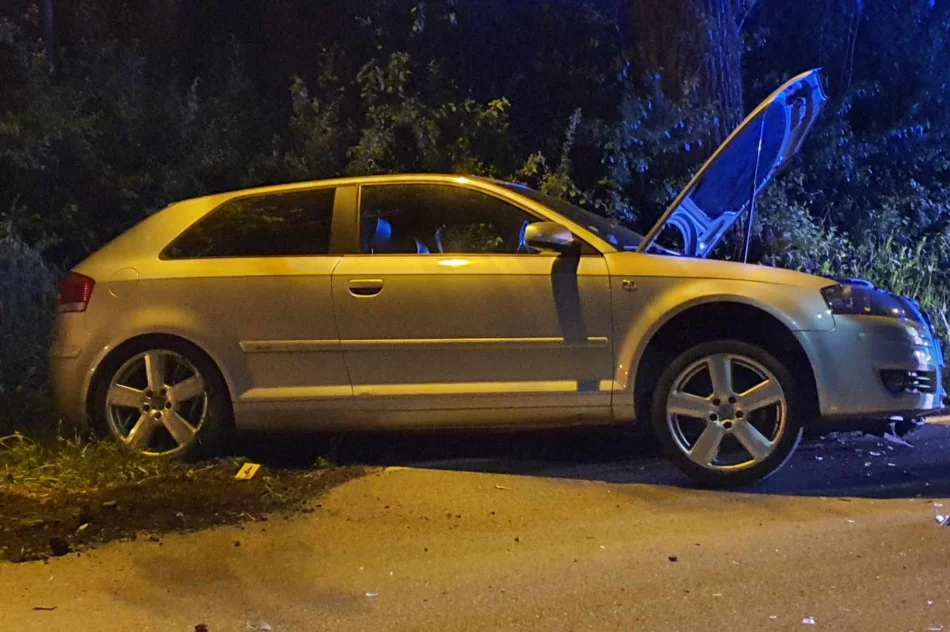 Mandat dla sprawcy czołowego zderzenia - zdjęcie 10