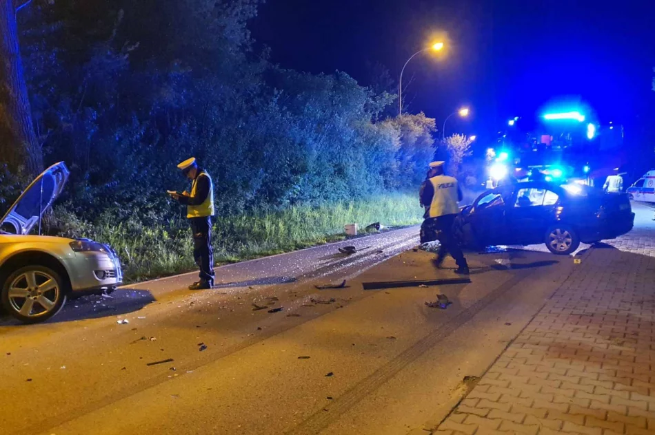 Mandat dla sprawcy czołowego zderzenia - zdjęcie 9