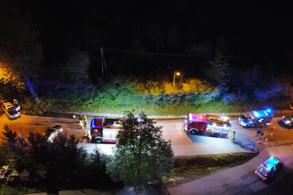 Mandat dla sprawcy czołowego zderzenia - zdjęcie 2