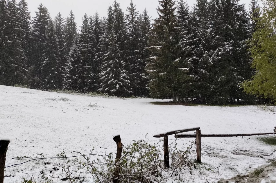 Dwa brązowe medale Mistrzostw Polski - zdjęcie 14