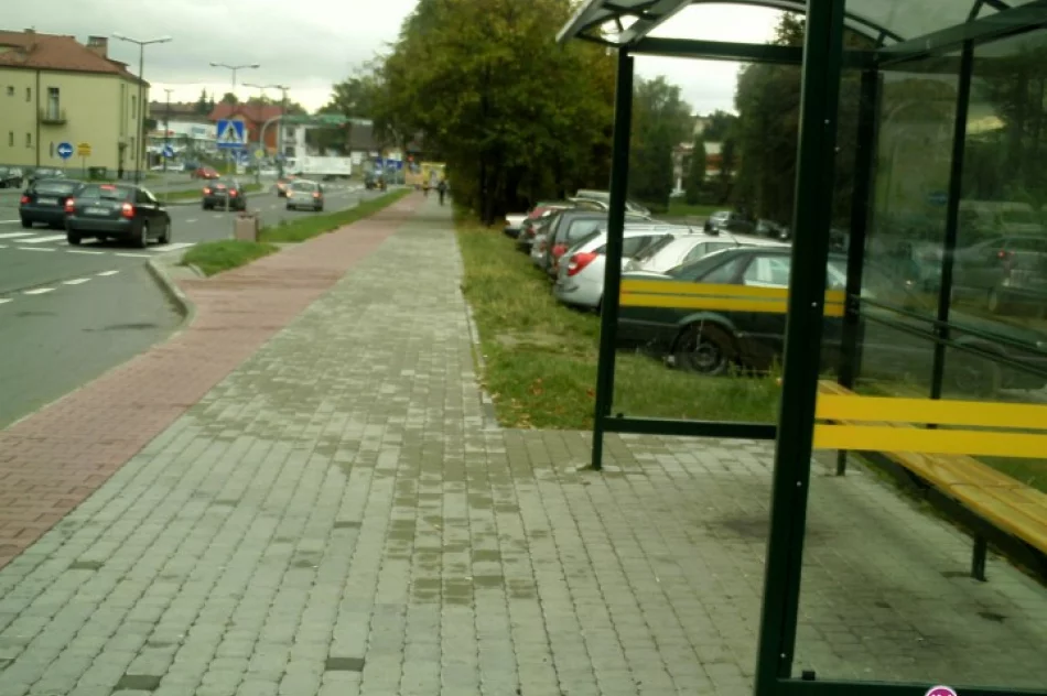 Umknęło im, że potrzebne są kosze na śmieci - zdjęcie 2