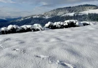 Ostrzeżenie meteorologiczne dla południowych powiatów Małopolski - zdjęcie główne