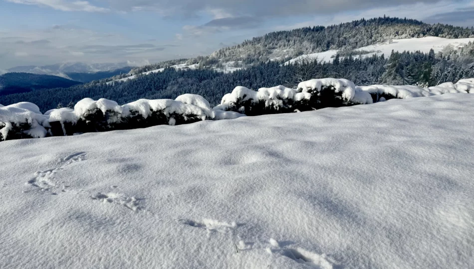 Ostrzeżenie meteorologiczne dla południowych powiatów Małopolski - zdjęcie 1