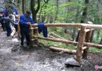 Więźniowie pracowali społecznie w Tatrach - zdjęcie główne