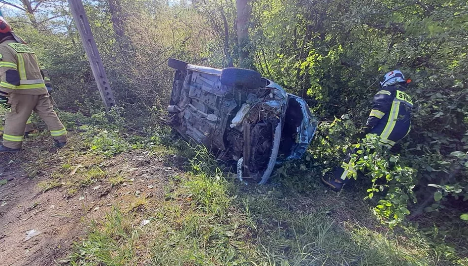 Kierowca zasnął, samochód uderzył w drzewo - zdjęcie 1