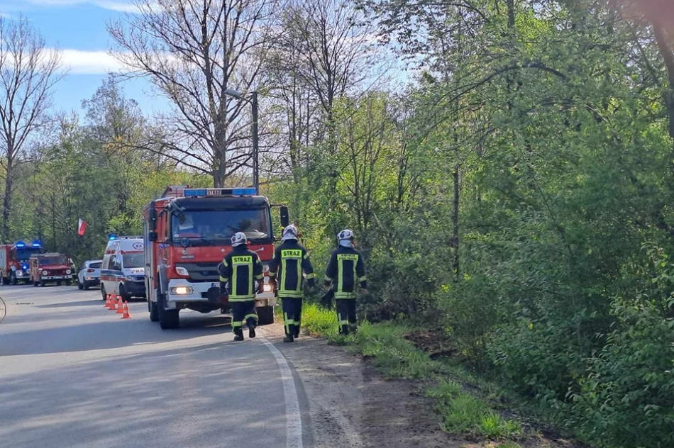 Kierowca zasnął, samochód uderzył w drzewo - zdjęcie 2