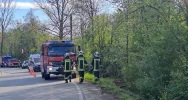 Kierowca zasnął, samochód uderzył w drzewo - zdjęcie 2