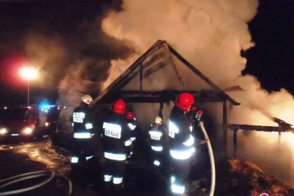 Pożar budynku gospodarczego - zdjęcie 3