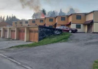 Przy zabudowaniach płonęły tuje - zdjęcie główne