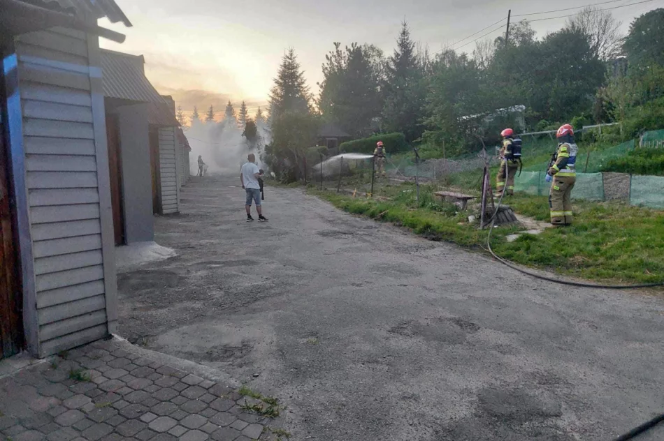 Przy zabudowaniach płonęły tuje - zdjęcie 2
