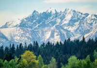 Prognoza pogody na kolejne 7 dni (02.05-08.05.2024 r.) - zdjęcie główne