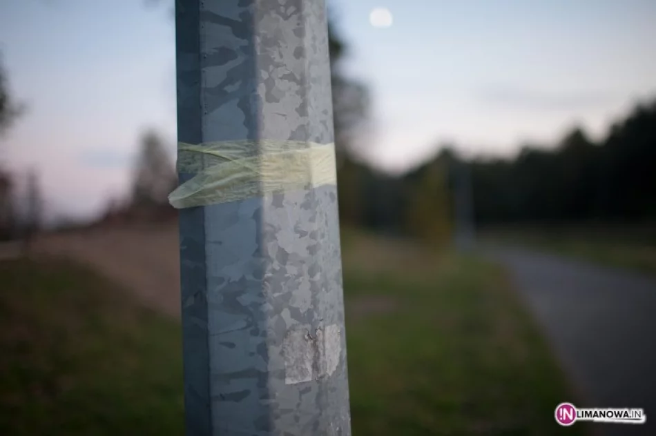 Lampy nie świecą, ale miasto płaci - zdjęcie 2