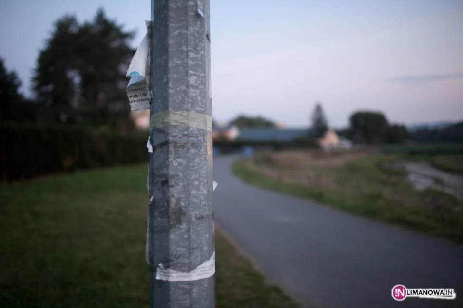 Lampy nie świecą, ale miasto płaci - zdjęcie 3