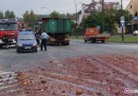 Skrzyżowanie tonęło w sfermentowanych owocach - zdjęcie główne