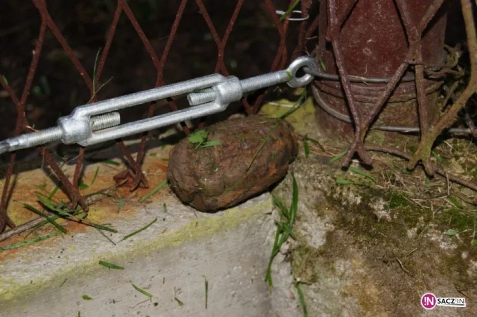 Znalazł granat kosząc trawę - zdjęcie 2