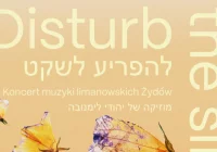 Koncert "Disturb the Silence" - 23 maja w Limanowskim Domu Kultury! - zdjęcie główne