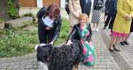 Konferencja bibliotekarzy powiatu limanowskiego - zdjęcie 2