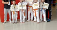 Sukcesy młodych karateków z Limanowszczyzny na turnieju w Rzeszowie - zdjęcie 3