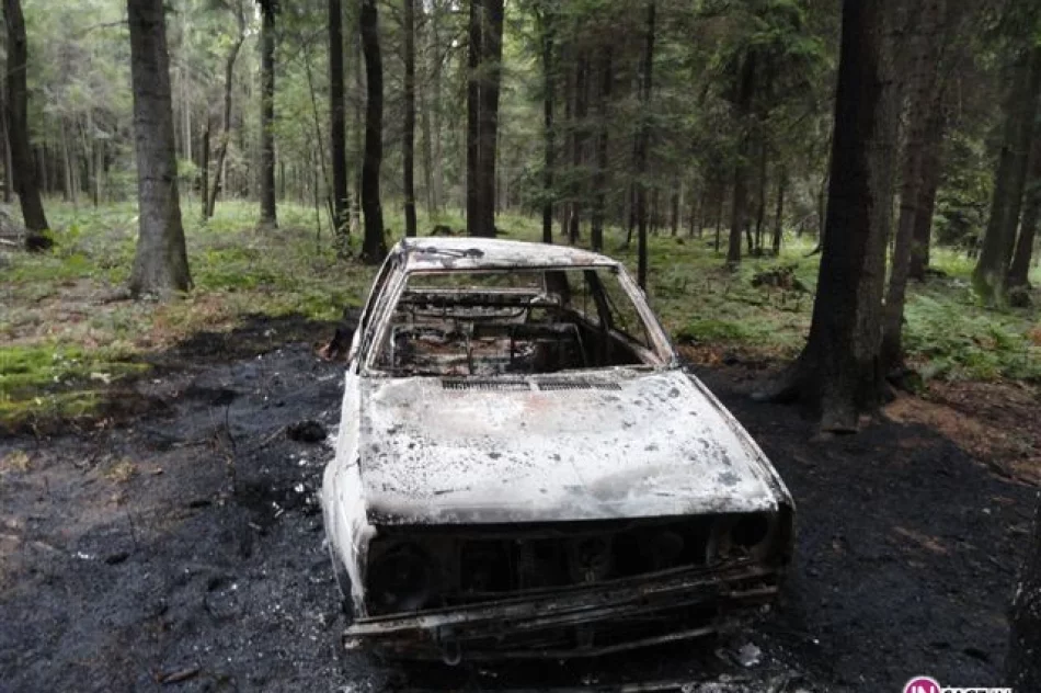 Płoną „bezpańskie” samochody - zdjęcie 2