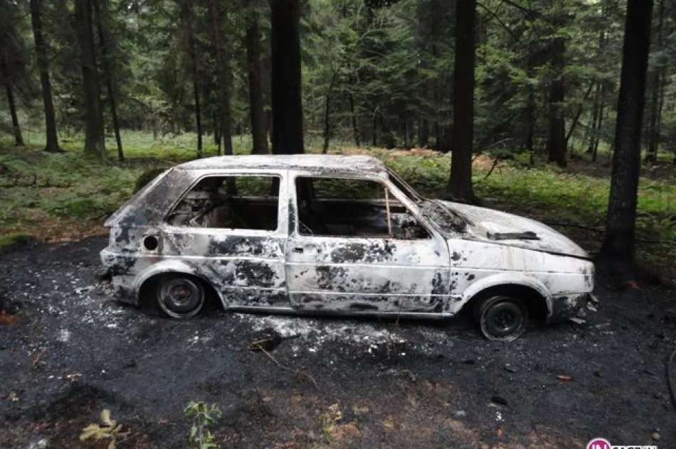 Płoną „bezpańskie” samochody - zdjęcie 3