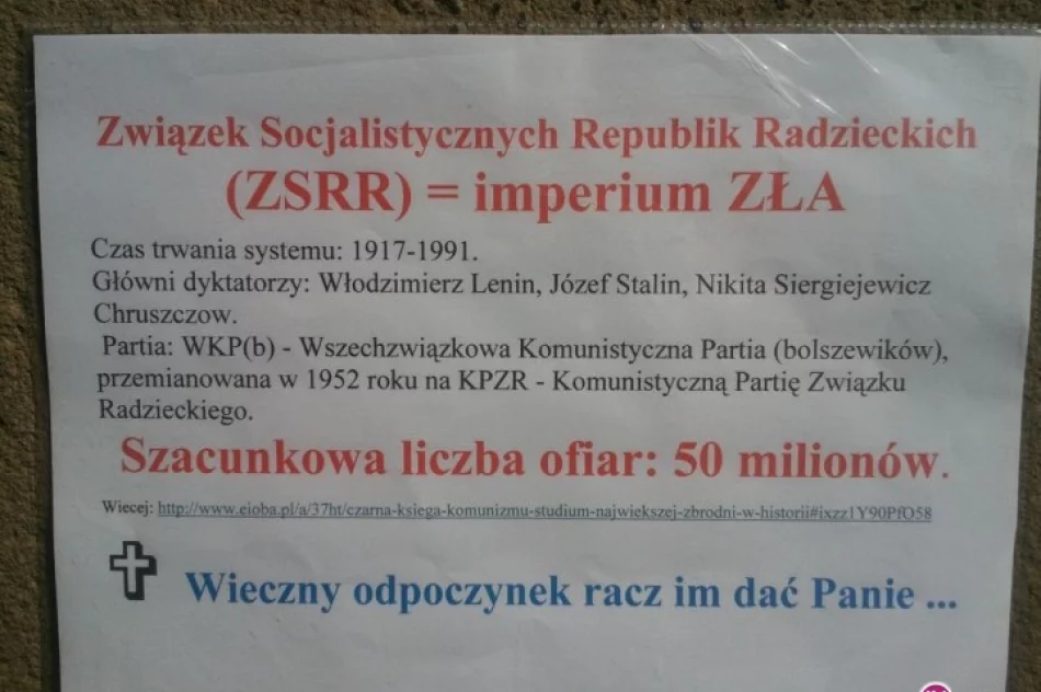 Manifestacja pod pomnikiem Armii Czerwonej - zdjęcie 3