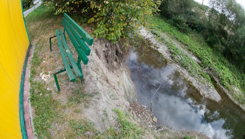 Fotointerwencja: ławka dla odważnych - zdjęcie 1